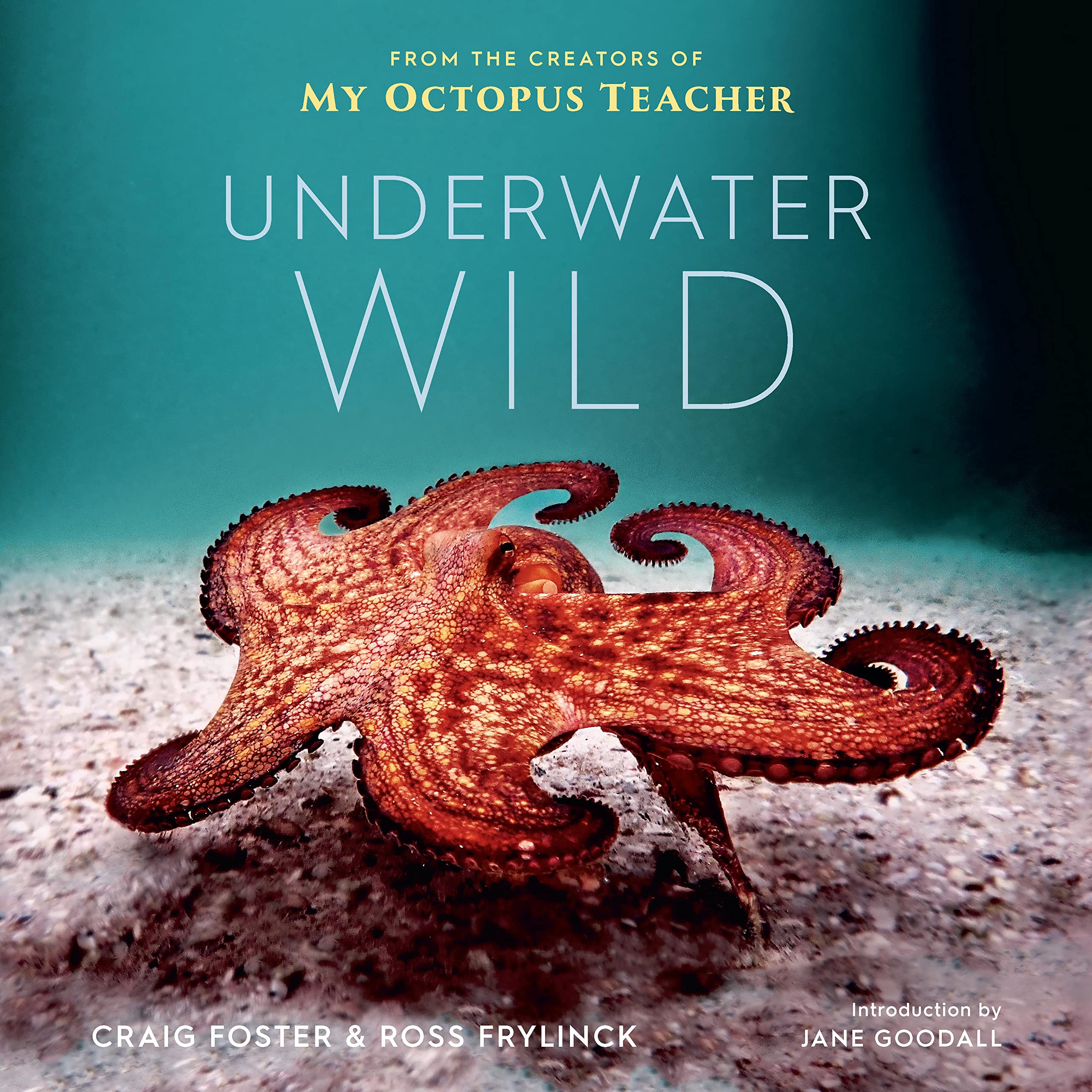 The Underwater Wild: My Octopus Teacher's