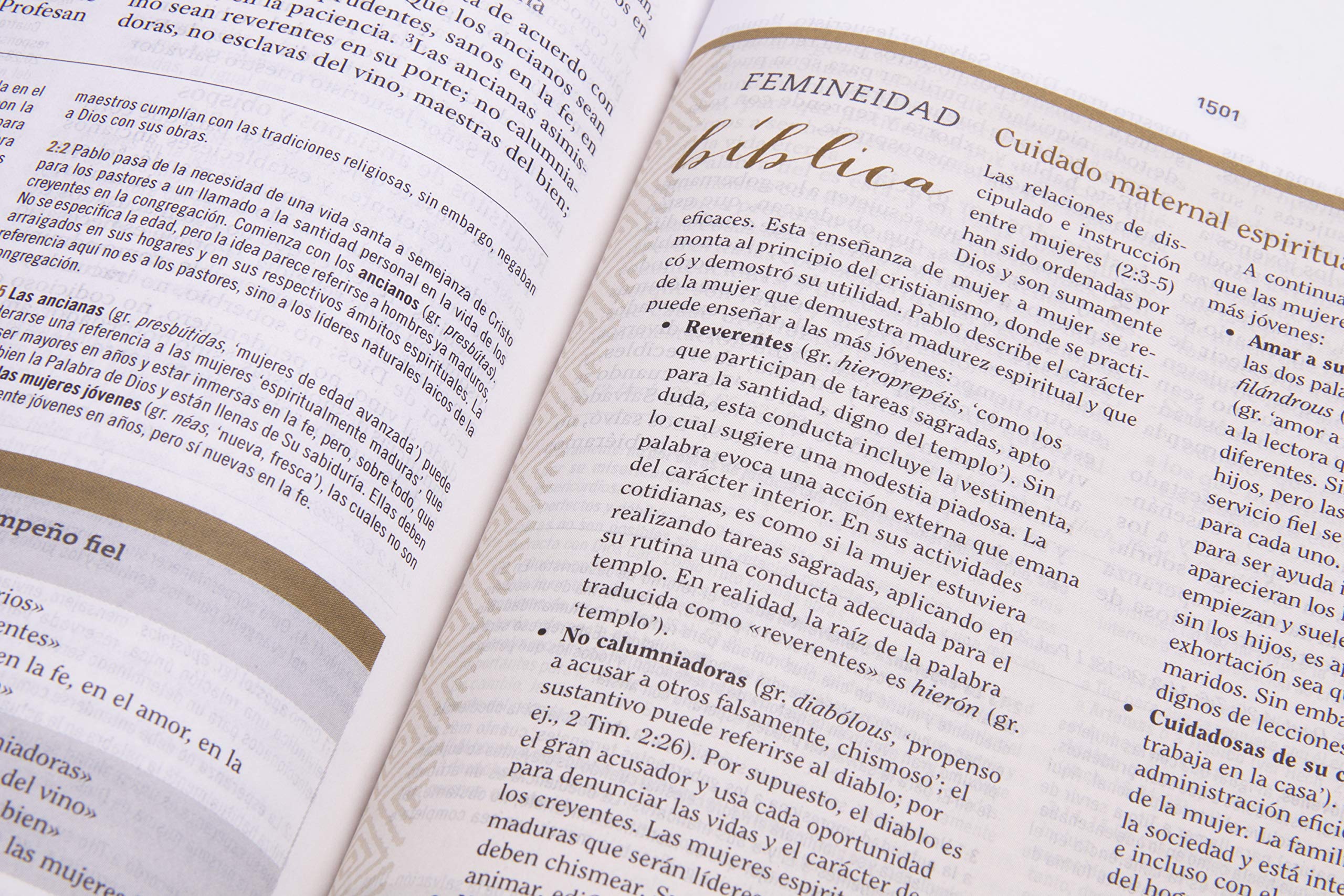 Biblia Reina Valera 1960 de Estudio para Mujeres, Tapa dura | RVR 1960 Women's Study Bible, Hardcover (Spanish Edition) Biblia Reina Valera 1960 de Estudio para Mujeres, Tapa dura | RVR 1960 Women's Study Bible, Hardcover (Spanish Edition) Hardcover