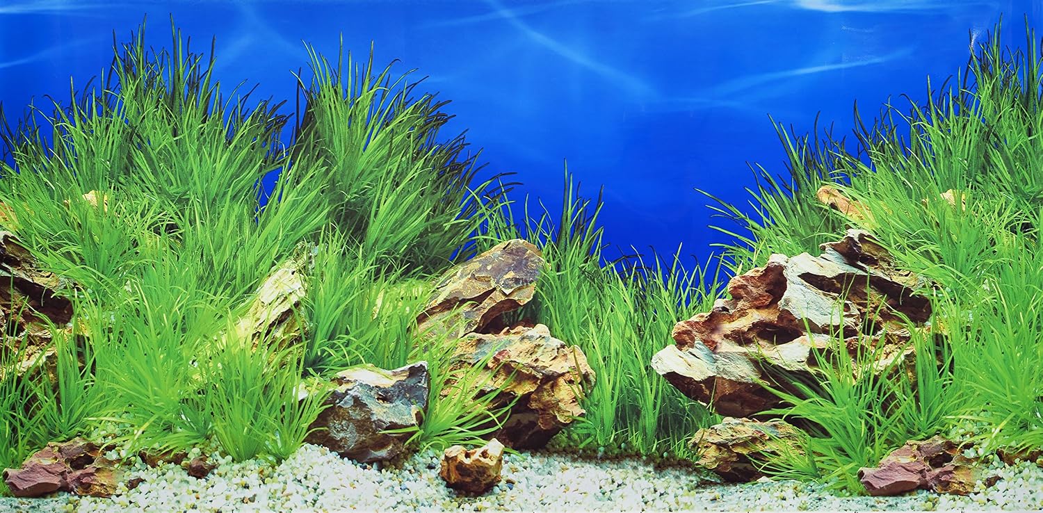 Poster Adesivo Per Acquario In PVC 120x40 Cm – Sfondo Nero Opaco, Autoadesivo, Per Acquario E Terrario, Facile Da Installare