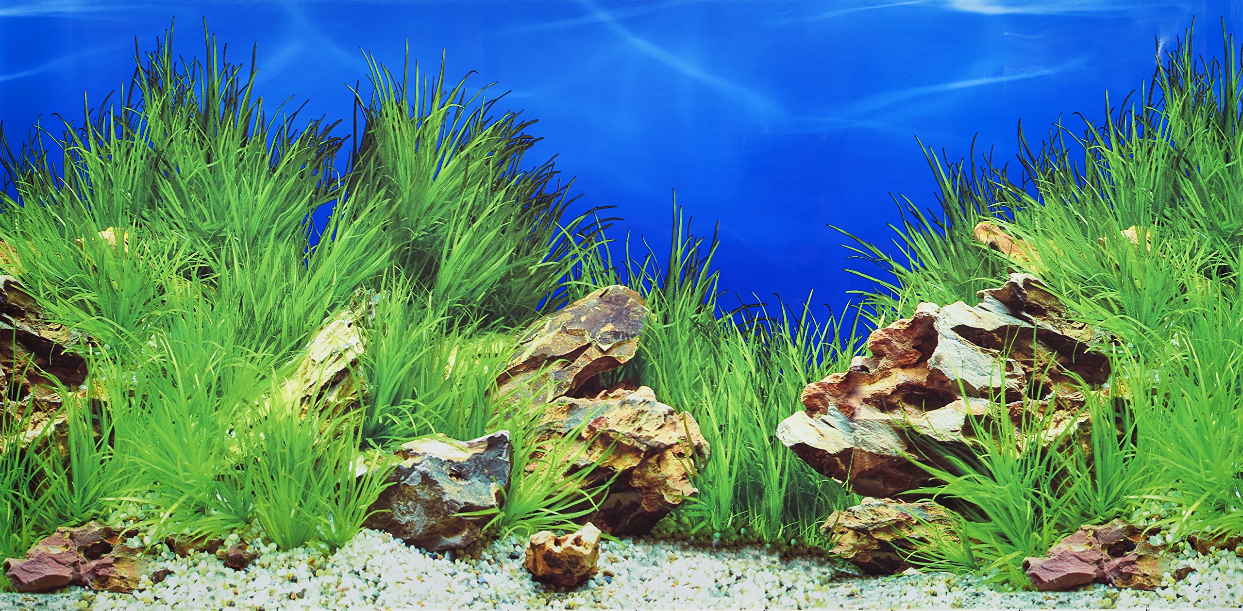 Pistachio Pet - Double-Sided Background Aquarium Poster, 45 x 100 cm