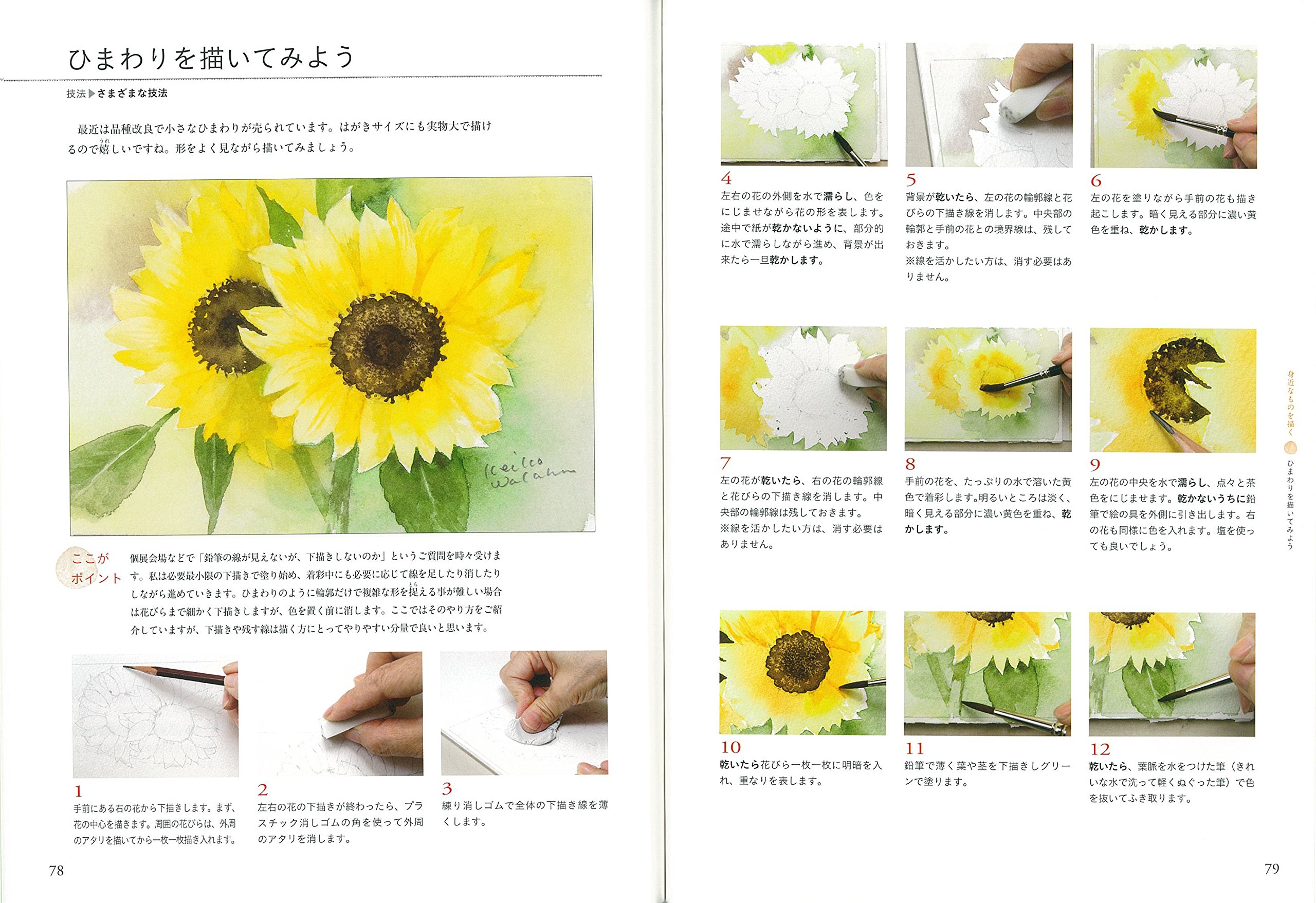 はがきサイズで透明水彩 若葉 恵子 本 通販 Amazon