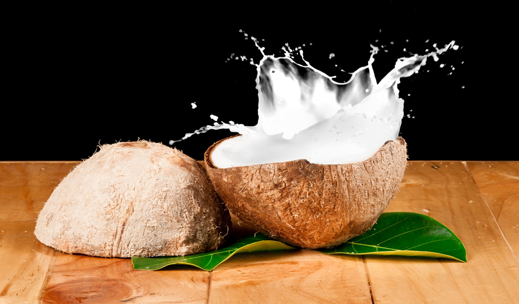 Coconut Oil Deciphered : An Introductory Guide To Uncovering The Truth Of Coconut Oil - Thumbnail 4