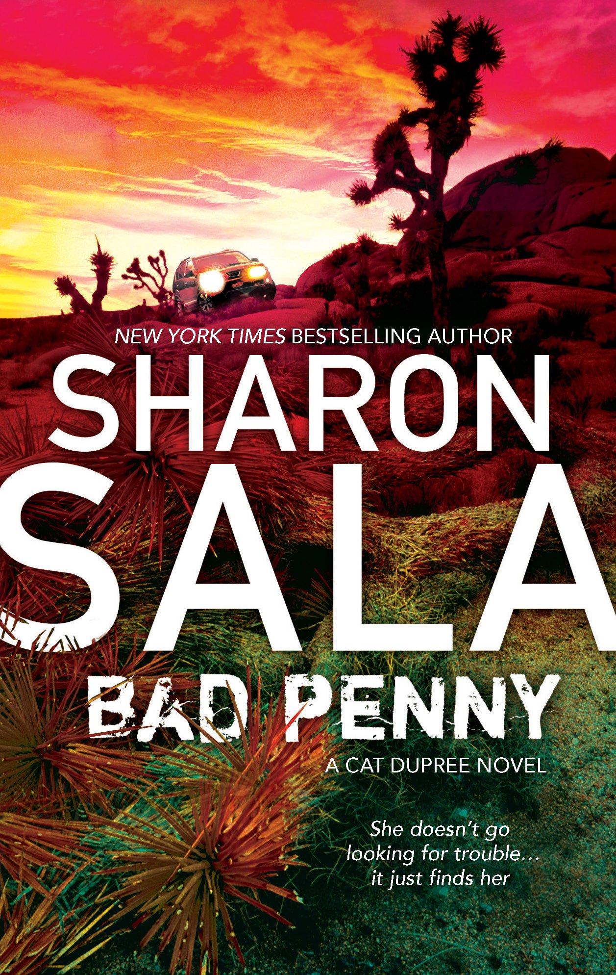 Bad Penny A Cat Dupree Novel 3 Sala Sharon 9780778325963 Amazon Com Books