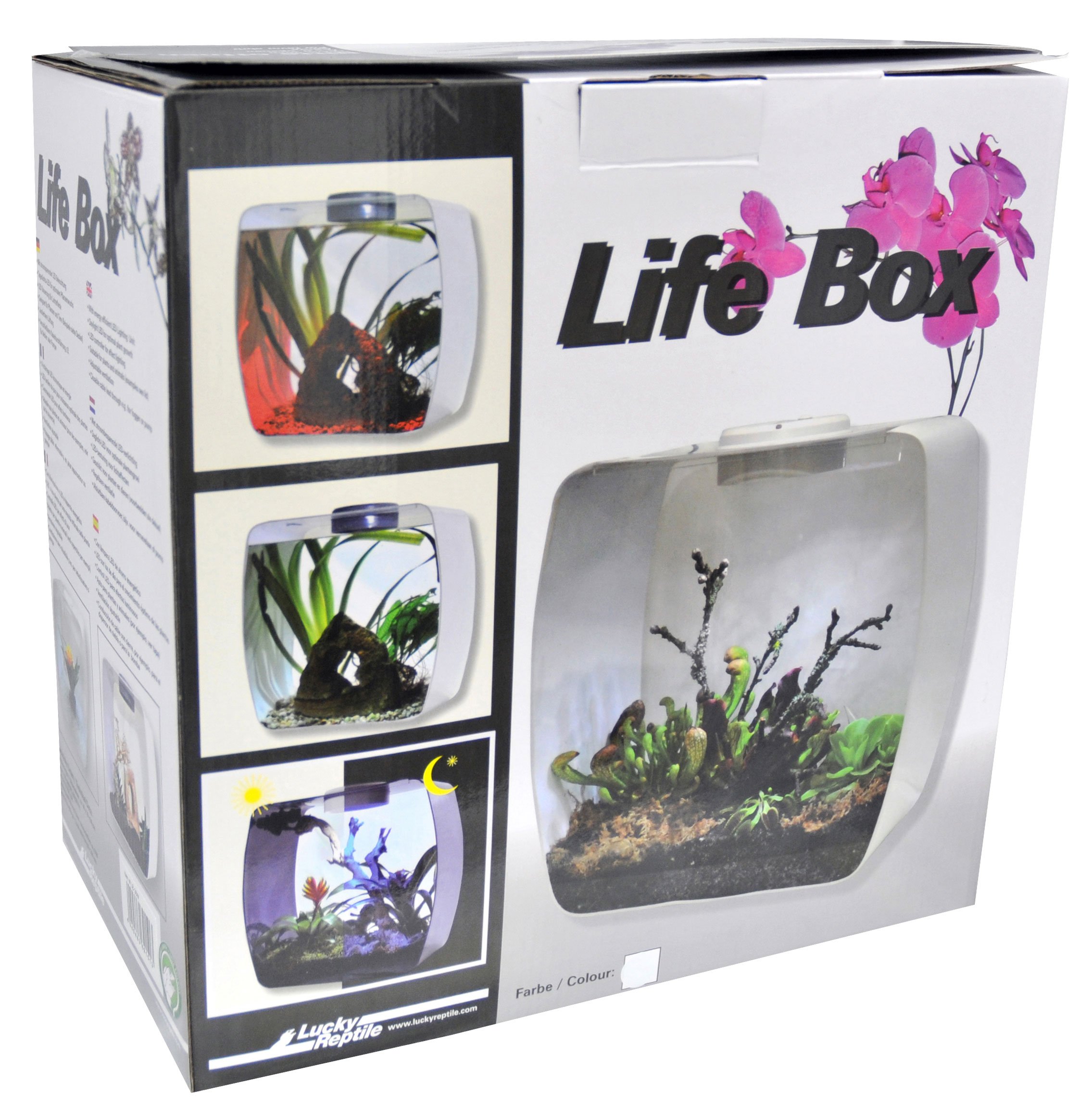 Lucky Reptile Life Box Designer Terrarium