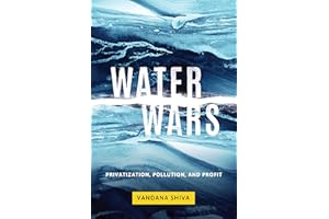 Water Wars: Privatization, Pollution, and Profit