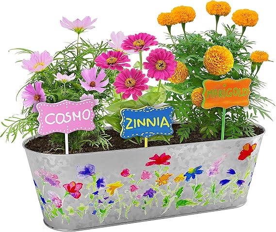 Kit de Cultivo de Flores Pinta y Planta - Cultiva Cosmos, Zinnia ...