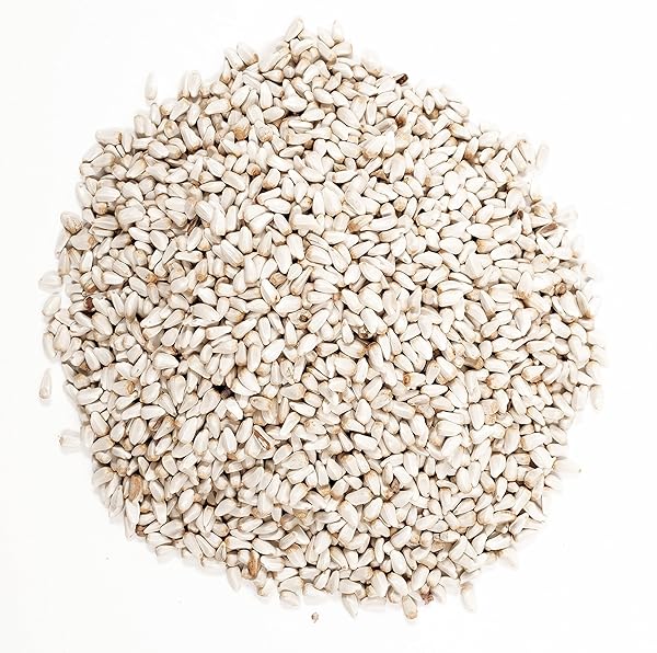 WAGNER’S 57075 SAFFLOWER SEED WILD BIRD FOOD, 5 POUND (PACK OF 1)