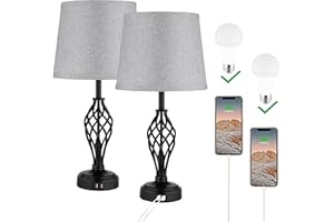 Ruiever Charging Table Lamps Set of 2, nightstand lamp with USB Ports Bedside Desk lamp for Living Room Bedroom,Black Spiral cage Base Design 3 Color Temperature LED Bulbs Included.