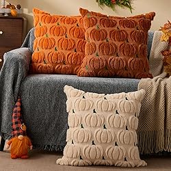 DFXSZ Fall Pillow Covers 18x18 Set of 2 Fall