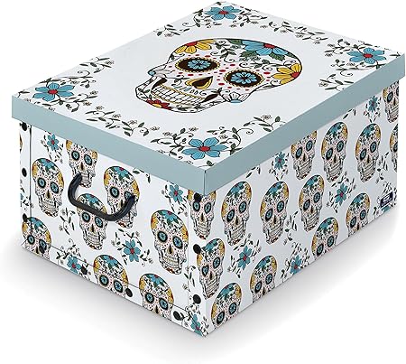 Domopak® Caja de almacenaje con asas, mezcla una calavera: Amazon.es: Hogar