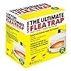 Best Flea Trap