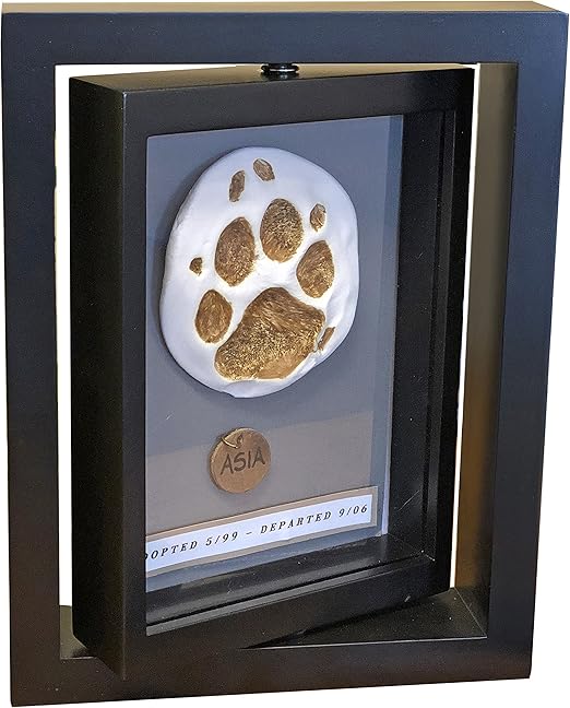 boxer puppies for sale near my location