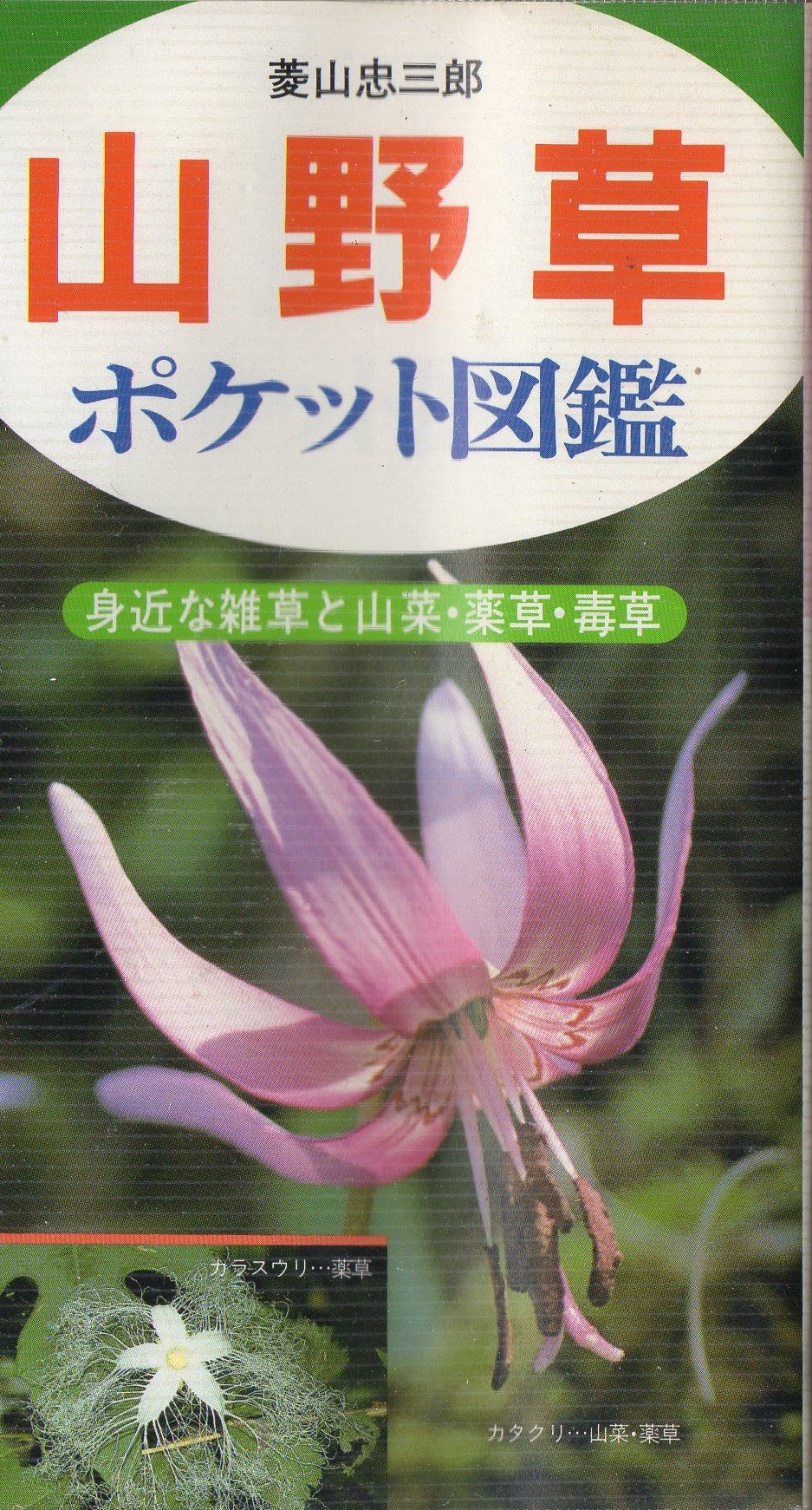 お取り寄せ 日本の山野草 ポケット図鑑 ノンフィクション 教養 Www Capitalguardsecurity Com