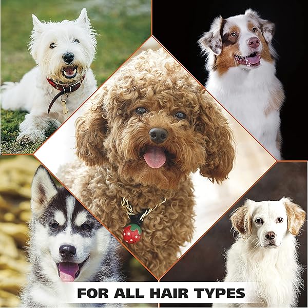 WAHL USA DRY SKIN & ITCH RELIEF PET SHAMPOO FOR DOGS – OATMEAL FORMULA WITH COCONUT LIME VERBENA – 64 OZ – MODEL 821004-050