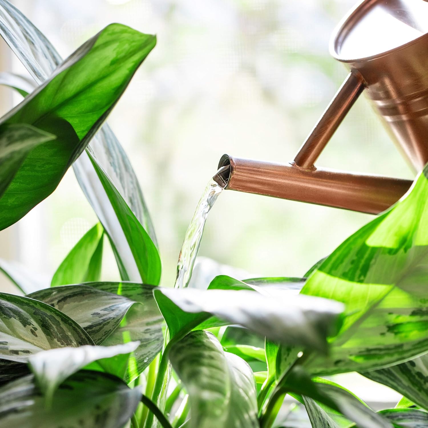 Homarden Half Gallon Copper Colored Metal Indoor Outdoor Plant Watering Can for House Plants with Removable Spout, 80oz : Garden & Outdoor