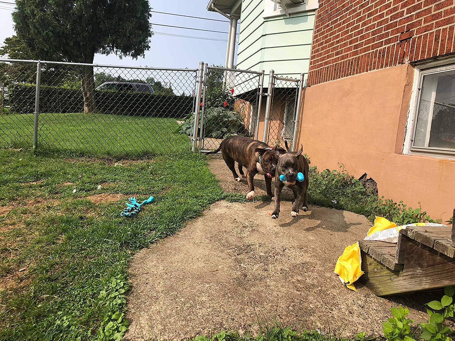 Aizara Dog Chew Toys for Aggressive Chewers, Tough Indestructible Dog Toys for Large Dogs, Durable Nylon Puppy Bone Toys for Training Keeping Pets Fit