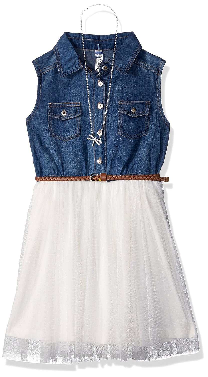 denim shirtwaist dress