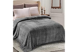 Whale Flotilla Flannel Fleece Queen Size Blanket for Bed, Soft Fluffy Velvet Bedspread Coverlet with Decorative Chevron Pattern for All Season, Warm and Lightweight, 90x90 Inch, Dark Grey
