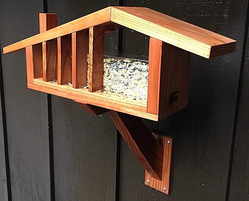 Amazon Com Package Deal Mid Century Modern Ranch House Bird