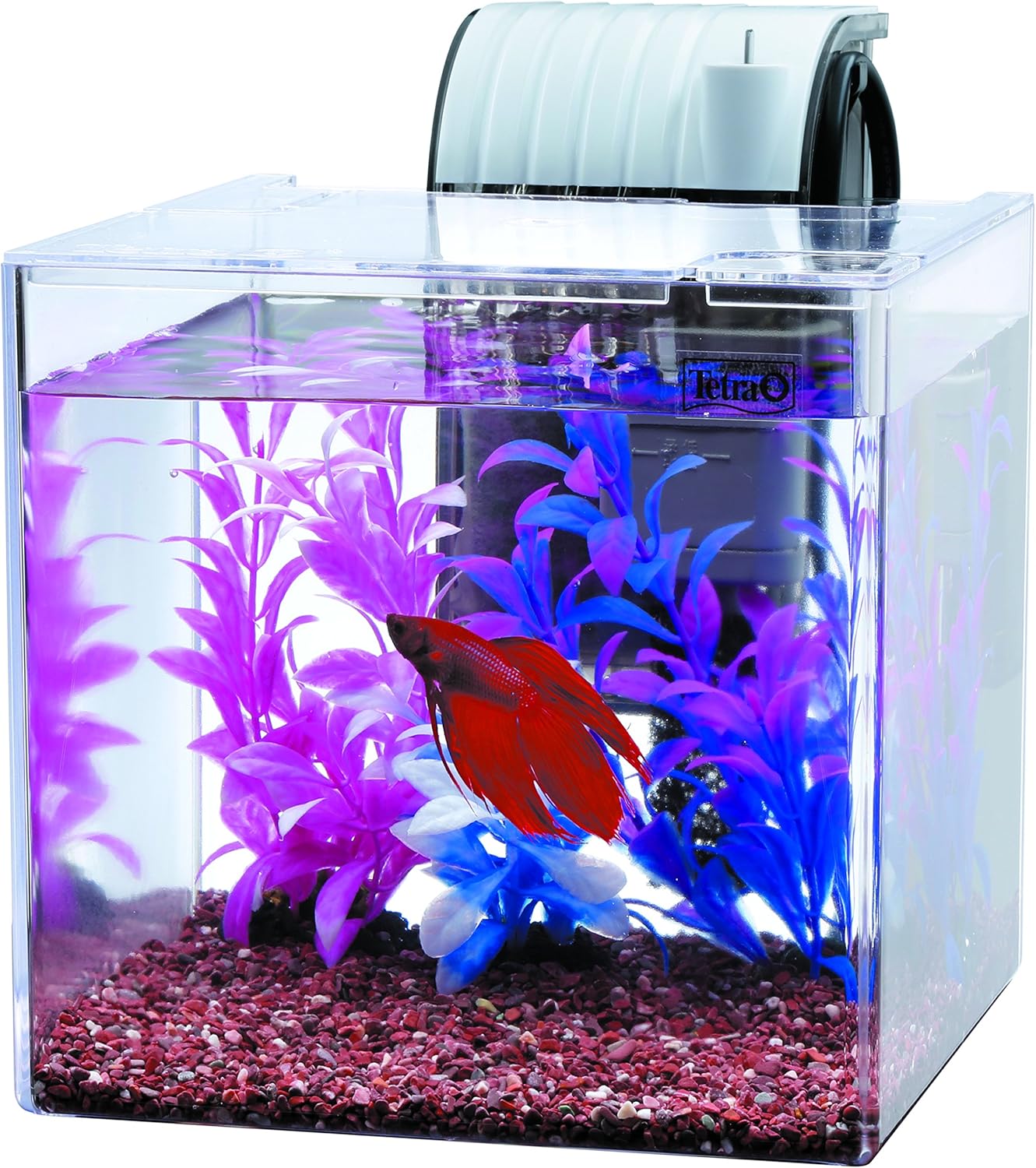 Amazon テトラ Tetra テトラ 静かなベタ飼育セット Sf 17bf テトラ Tetra 水槽 通販