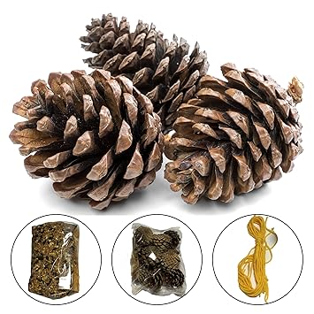 Crafty Kids Pine Cone Winter Bird Feeder Kit Amazon Co Uk Garden
