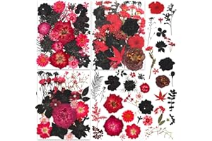 141PCS Red Black Dried Pressed Flowers for Resin - Youthbro Real Nature Flowers Herb Set for Christmas DIY Candle Soap Vase Making Nail Card Scrapbook Art Craft Floral Decors