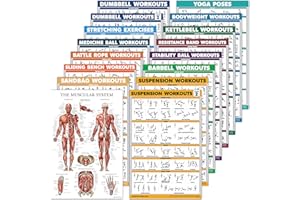PALACE LEARNING 16 Pack - Exercise Workout Poster Set: Dumbbell , Suspension , Kettlebell , Bands , Medicine Ball , Battle Rope , Stretching , Bodyweight , Barbell , Yoga , Exercise Ball (PAPER - NOT LAMINATED , 18" x 24" )
