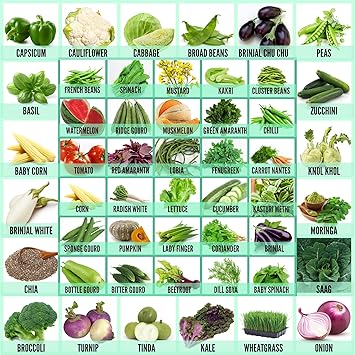 Leafy Tales 50 Varieties of Vegetable, Fruits & Herbs Seeds for Kitchen Garden - 2500+ Seeds |