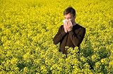 NUAGÉ Nuage Hayfever Relief Wipes Resealable Pack 3 (30 per pack) view 7