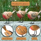 REDSTAR 3pc Decorative Red Robin Ornaments Garden Outdoor Statues view 4