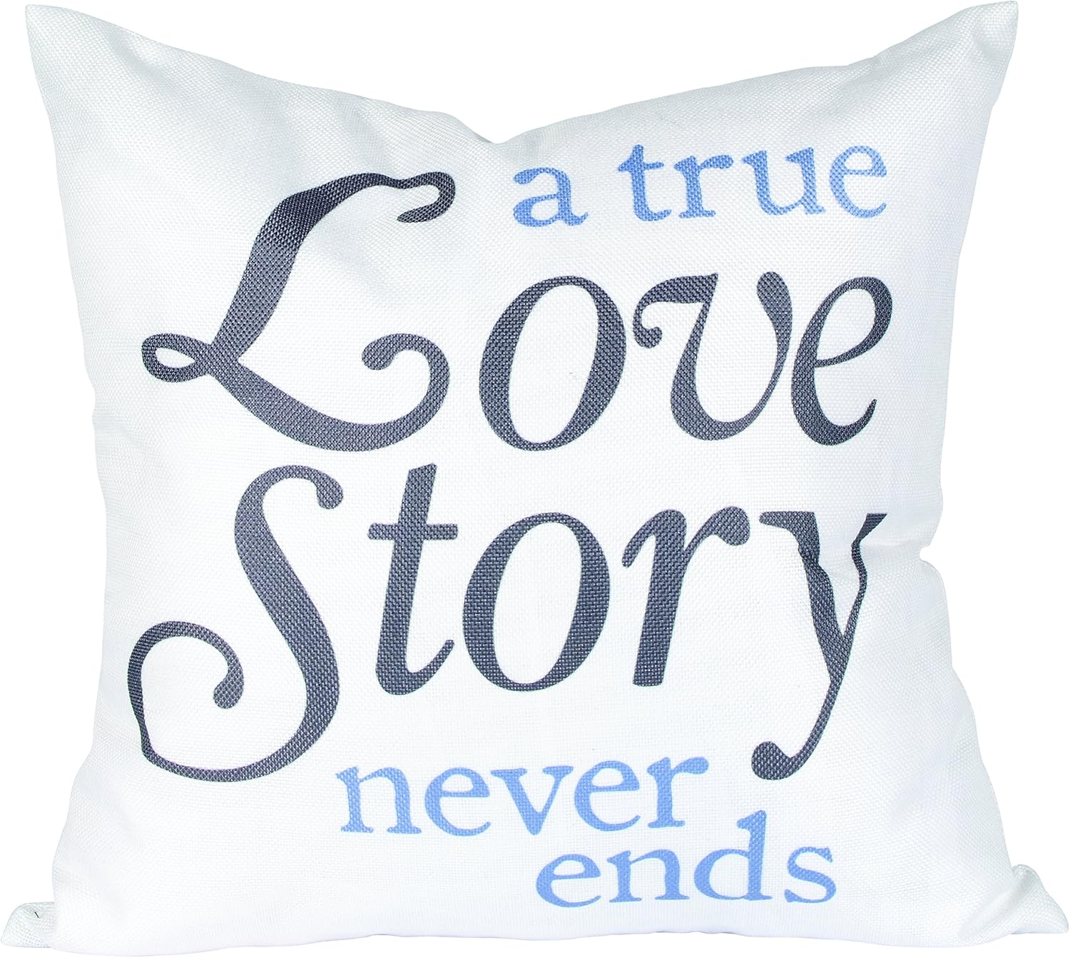 Amazon Com Carson Home Accents Carson Home 17 Decorative Pillow