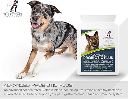 advanced probiotic plus for dogs