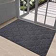 COSY HOMEER Door Mat Floor Mats Dirt Trapper Mat Wet Shoes and Paws, Front Door Outside Entry Welcome Entrance Dog Cat Mats, Anti Slip Washable,32"x48",Dark Grey