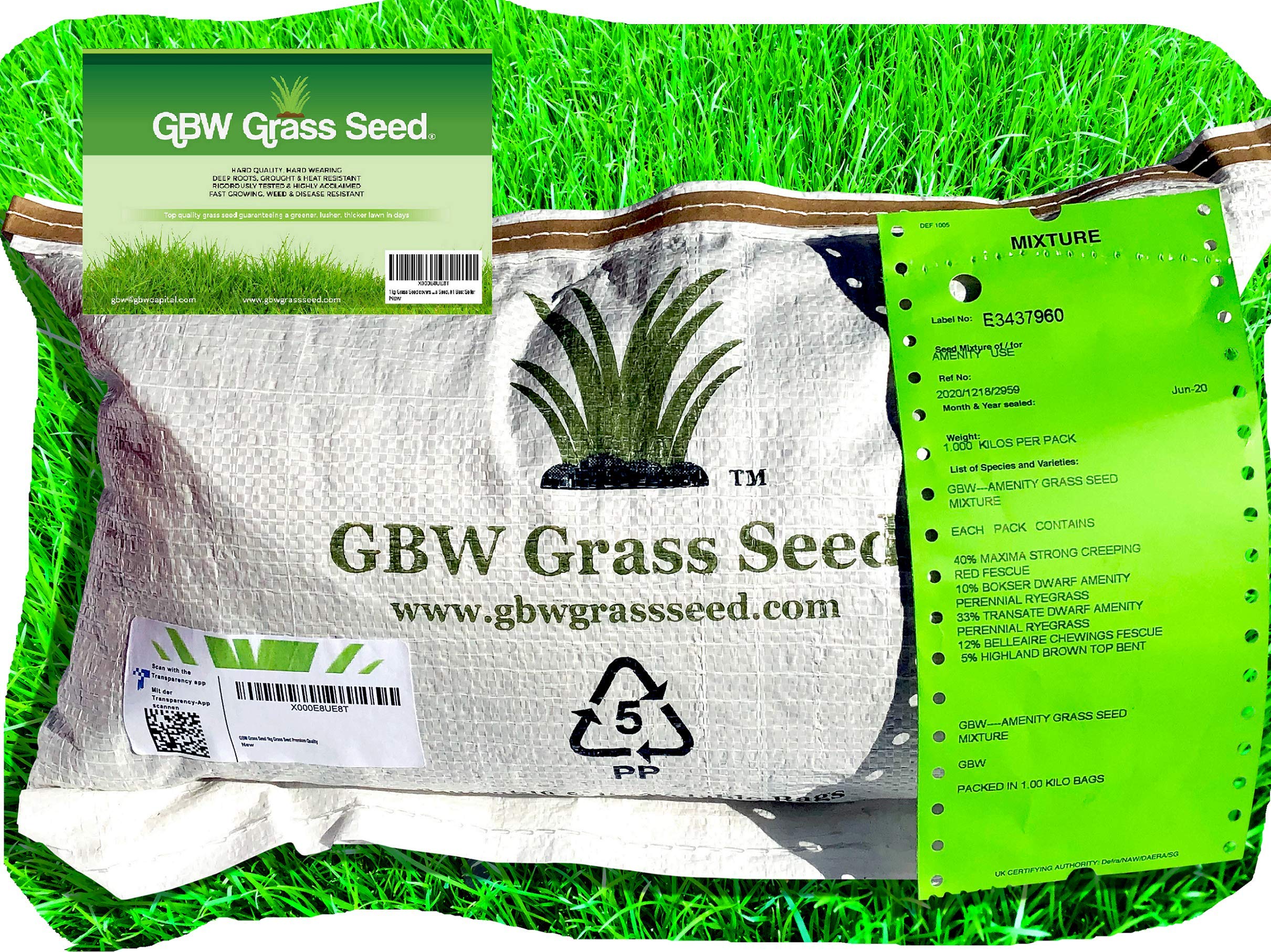 1kg Grass Seed Covers 60 m2 (645 ft2) Overseeding Premium Quality
