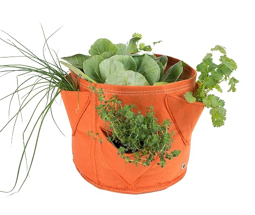 Bloem Big Tela de Hierbas Maceta Bolsa, 5 Gallon, Honey Dew ...