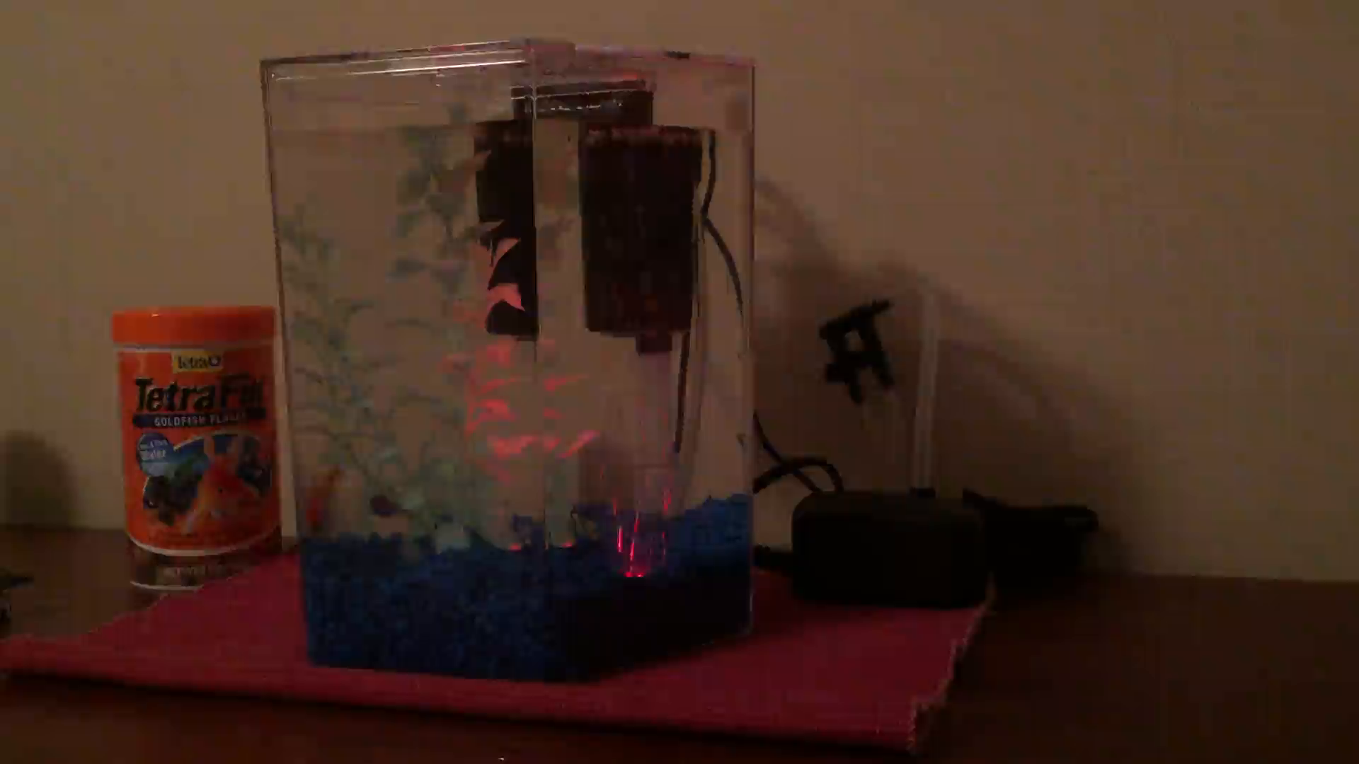 Tetra 29040 Hexagon Aquarium Kit With Led Bubbler 1 Gallon Aquarium Views