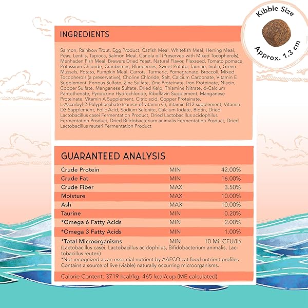 BLACKWOOD BOUNTY DRY CAT FOOD, SALMON & RAINBOW TROUT RECIPE FOR ALL LIFE STAGES, 4.5 POUND BAG, HIGH PROTEIN, GRAIN FREE
