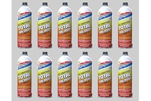 BERRYMAN PRODUCTS Berryman (2616-12PK) B-12 Chemtool Total Fuel System Clean-Up - 15 oz., (Pack of 12)