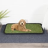 dog pee grass patch