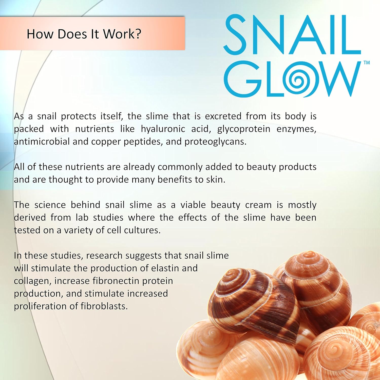 snail glow moisturizer