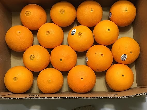 Amazon アメリカ カリフォルニア州産 サンキストオレンジ 中玉 １６個入り フレッシュ旬果１番館 オレンジ 通販