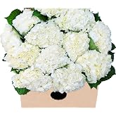 KaBloom-15 White Hydrangea Bouquet, Flowers for Valentine, Mother's Day