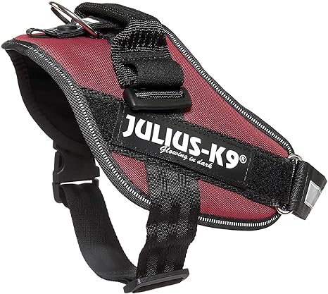 Julius-K9 16IDC - Power Harness: Amazon.es: Productos para mascotas