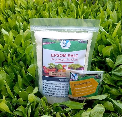 Shiviproducts 900 g Epsom Salt and 10 g Hydrogel Sample