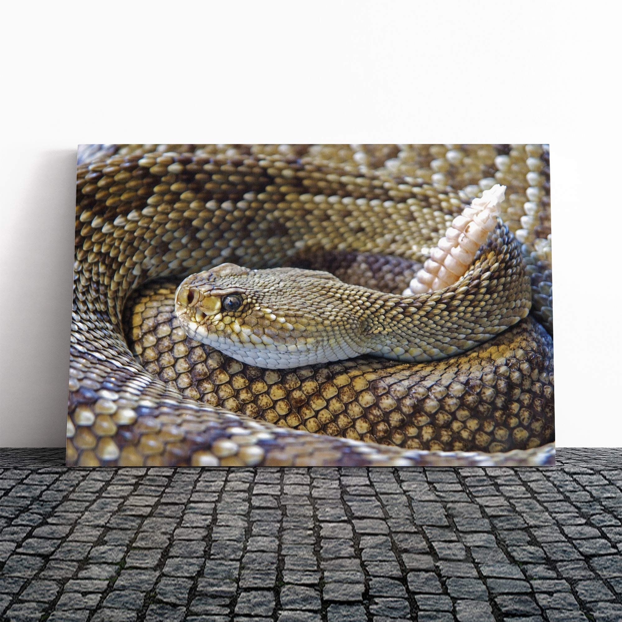 Rattle Snake Canvas Print | Gallery Wrapped 30mm Frame Wall Art | 20x14 inches | Ready to Hang | Modern Animals Picture | Living Room Bedroom Lounge Office