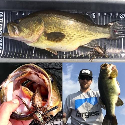 BiCO Battle Craw Soft Plastic Trailer - 3.75 Inch, For Jigs & Texas Rigs, Subtle Action