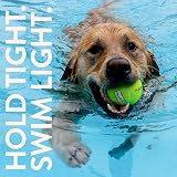 SPORTSPET Tennis Balls for Dogs 12 Pack - Extra Bouncy Floats 64mm Non Toxic view 3