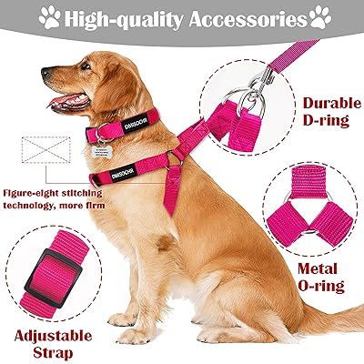 vibrant life pull control leash