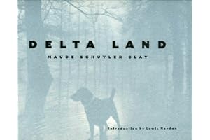 Delta Land (Author and Artist Series)