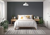 Dulux Simply Refresh Cannon Ball Matt Emulsion Paint 1.25 L One Coat view 6